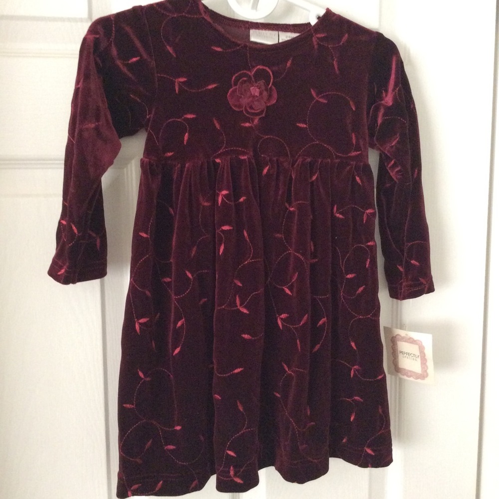 NWT Embroidered Velour Dress